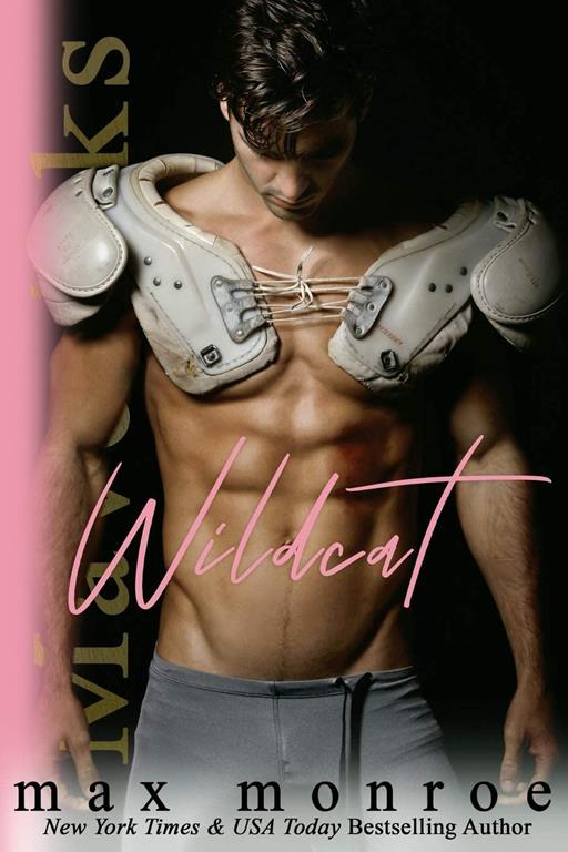 Wildcat (Mavericks Tackle Love) (Volume 1)