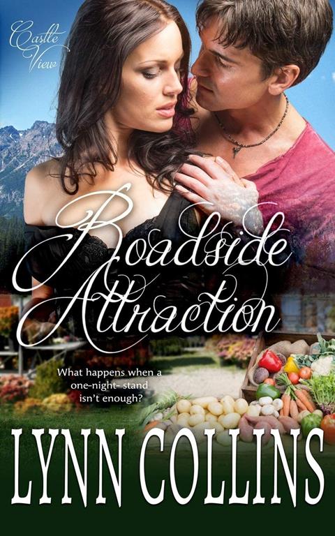 Roadside Attraction: Castle View Series (Volume 2)