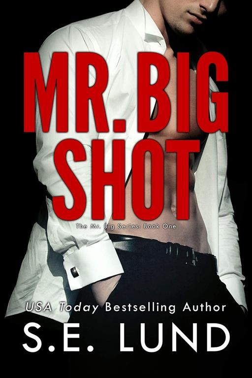 Mr. Big Shot (The Mr. Big Series) (Volume 1)