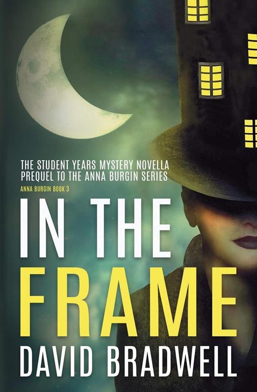 In The Frame: Series Prequel Mystery Novella - Anna Burgin Book 0 (0)