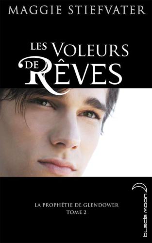 Les Voleurs de Reves