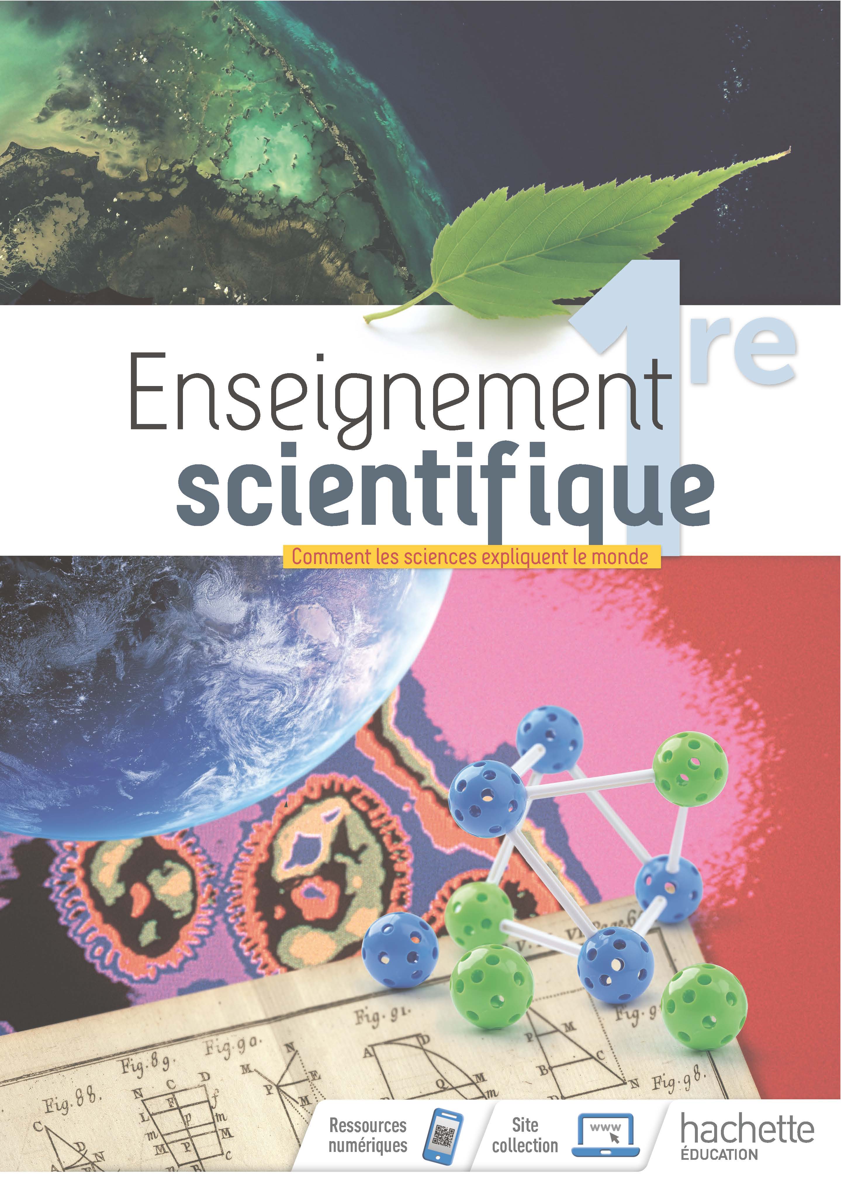 Enseignement scientifique 1re : comment les sciences expliquent le monde