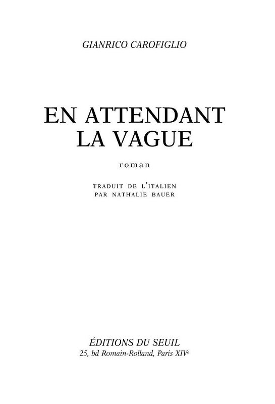 En attendant la vague : roman