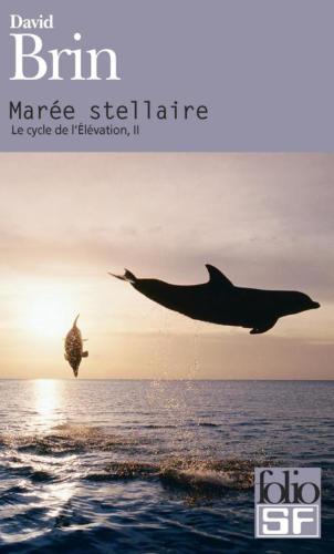 Marée stellaire