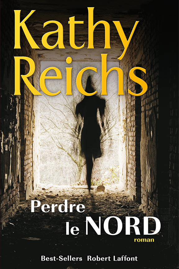 Perdre le nord : roman