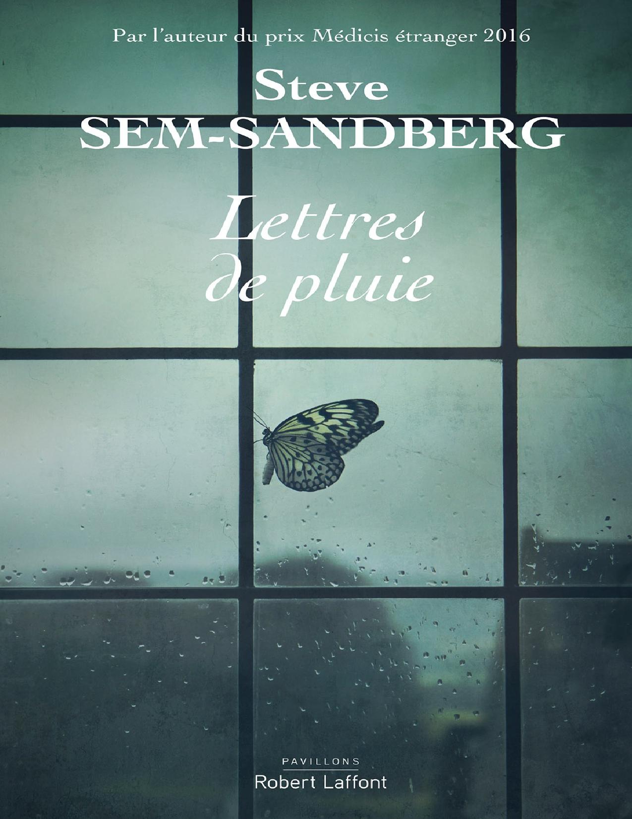 Lettres de pluie : roman