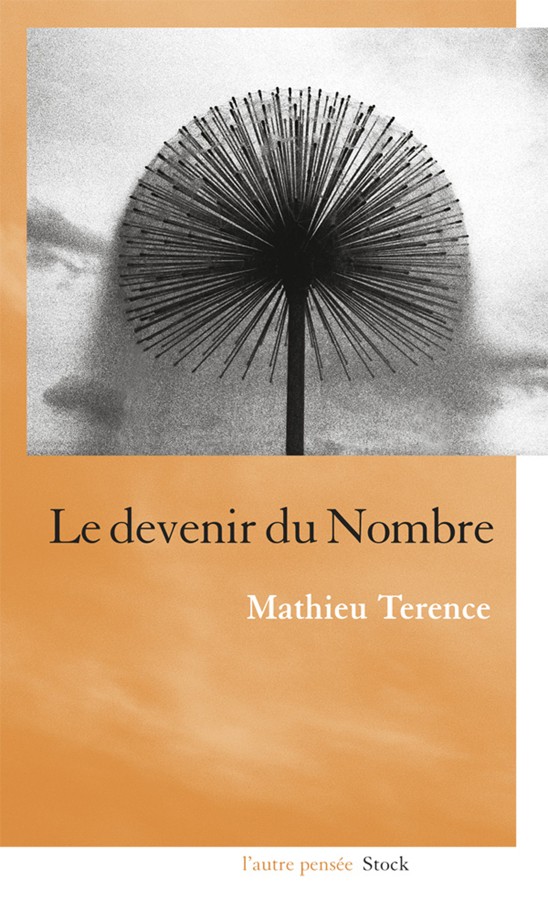 Le Devenir Du Nombre