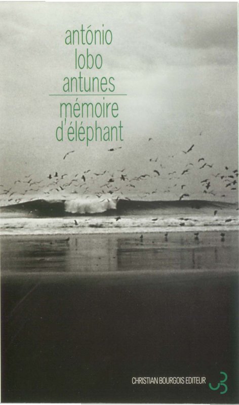 Mémoire d'éléphant