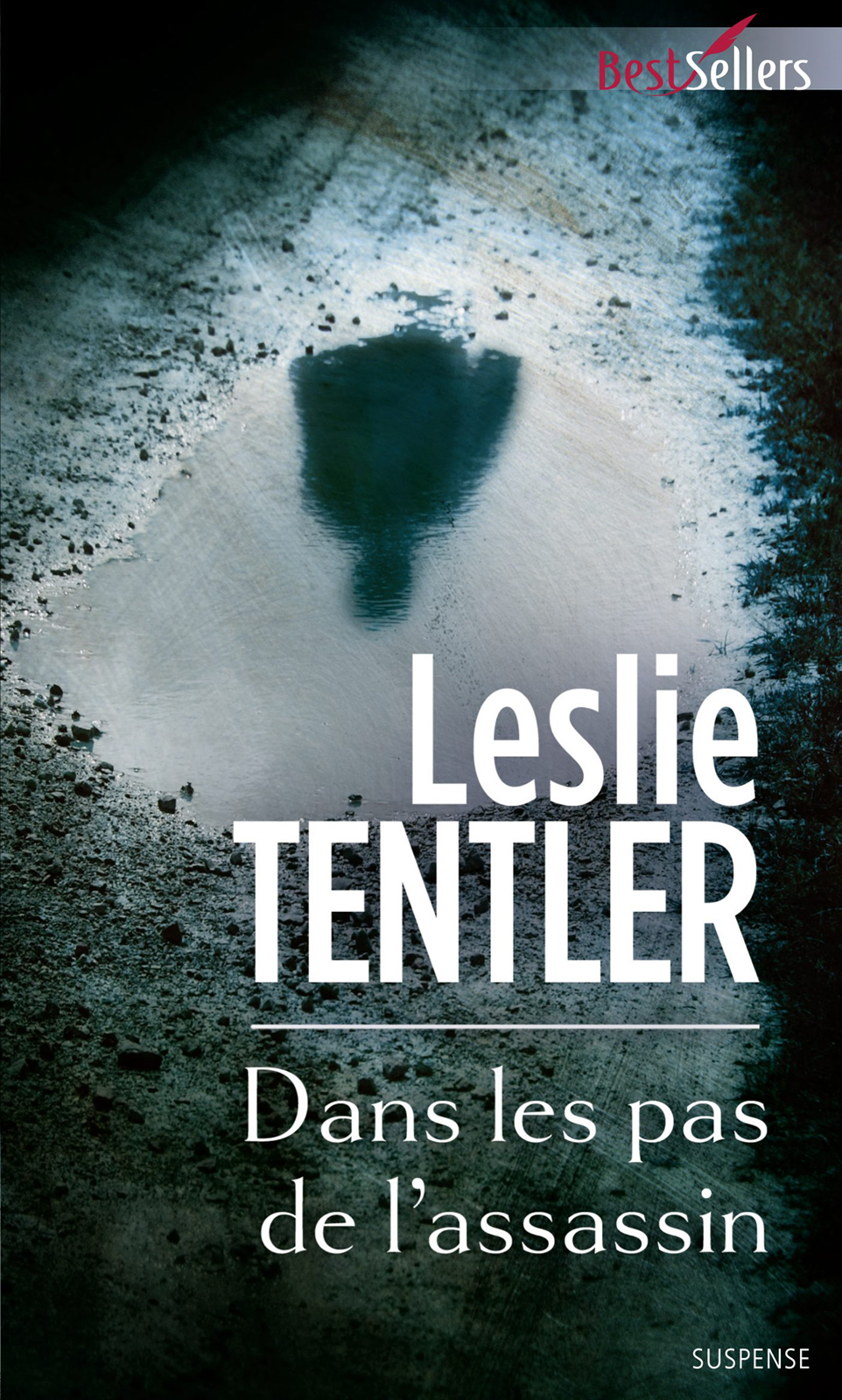 Dans les pas de l'assassin (Best-Sellers)