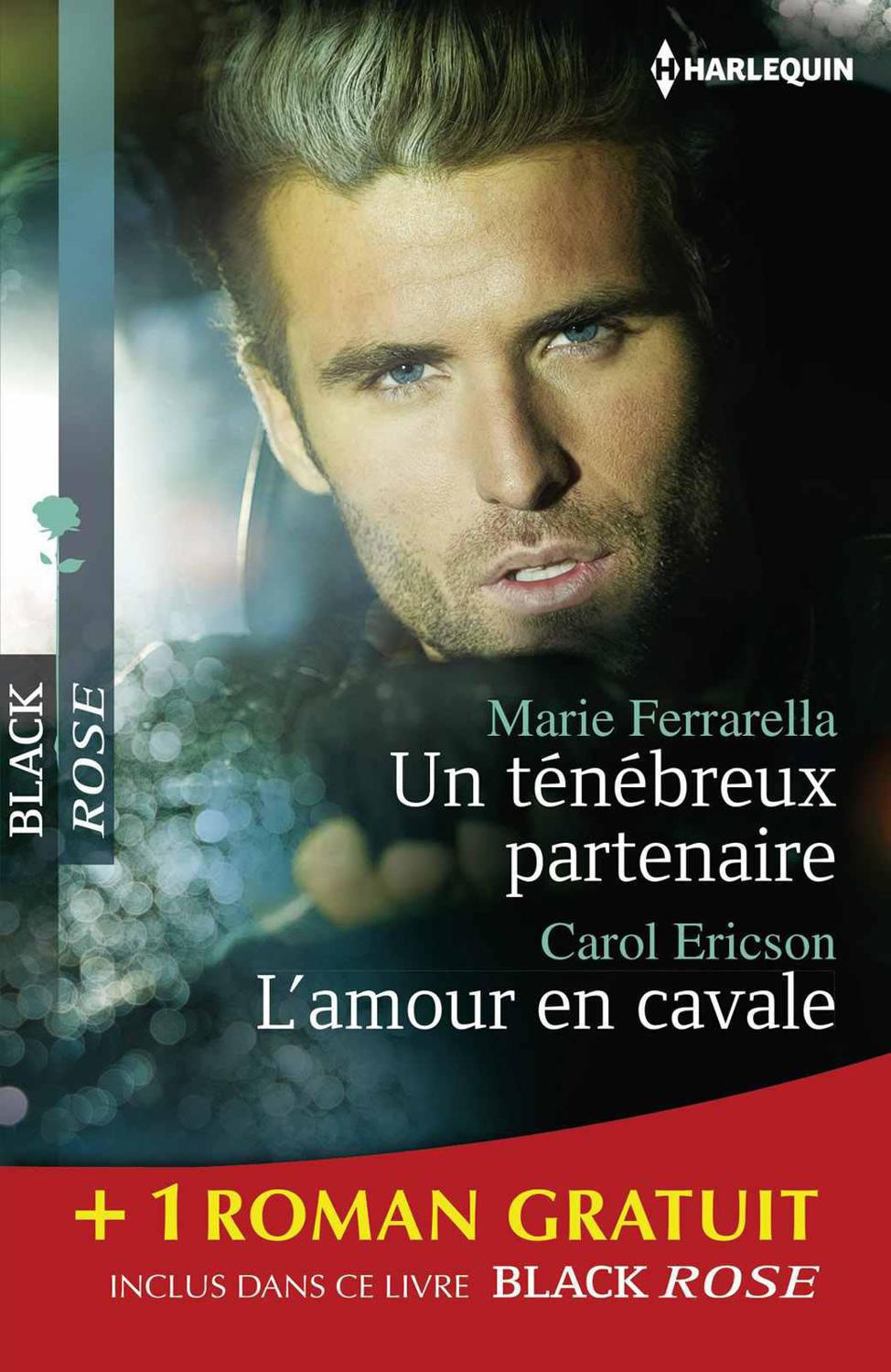 Un ténébreux partenaire - L'amour en cavale - Une dangereuse attraction