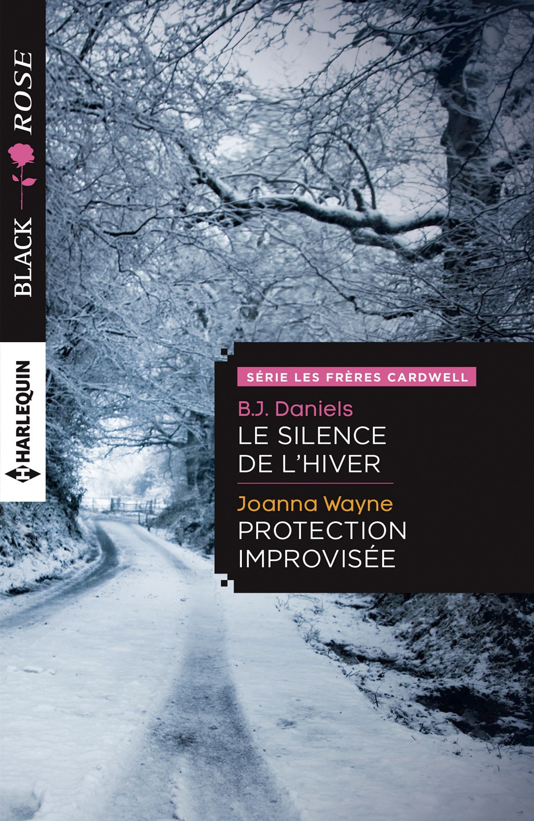 Le Silence de L'Hiver - Protection Improvisee