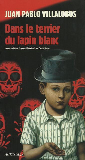 Dans le terrier du lapin blanc : roman