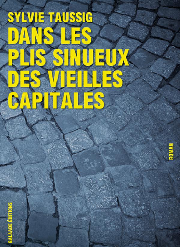 Dans les plis sinueux des vieilles capitales : roman