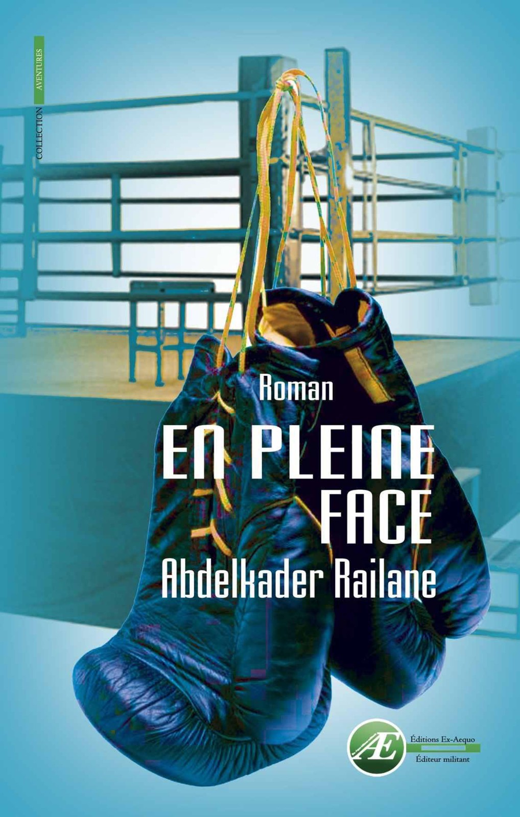 En pleine face: Roman.