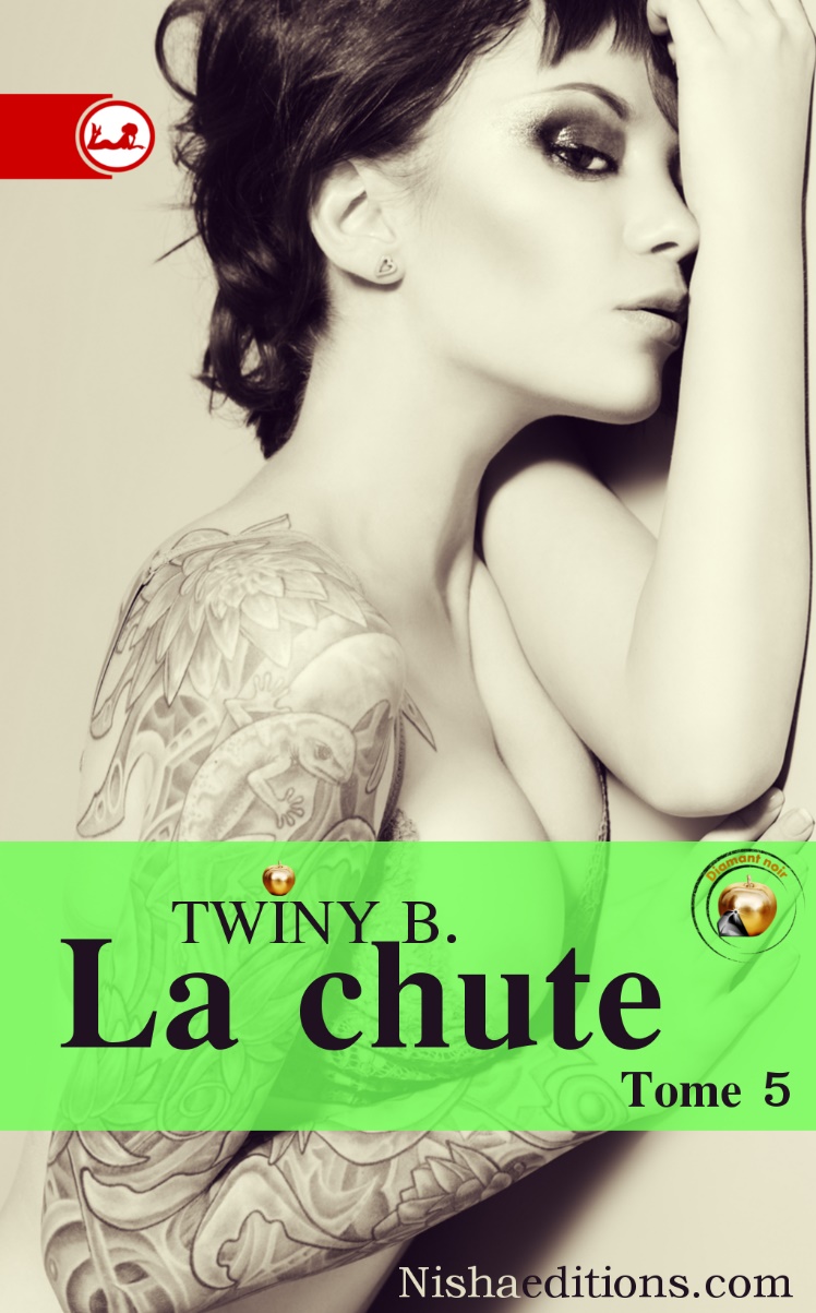 La chute Saison 1 tome 5