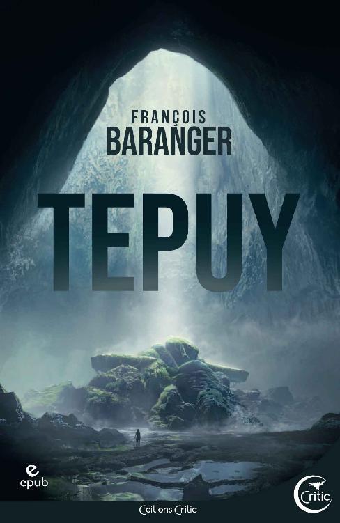 Tepuy