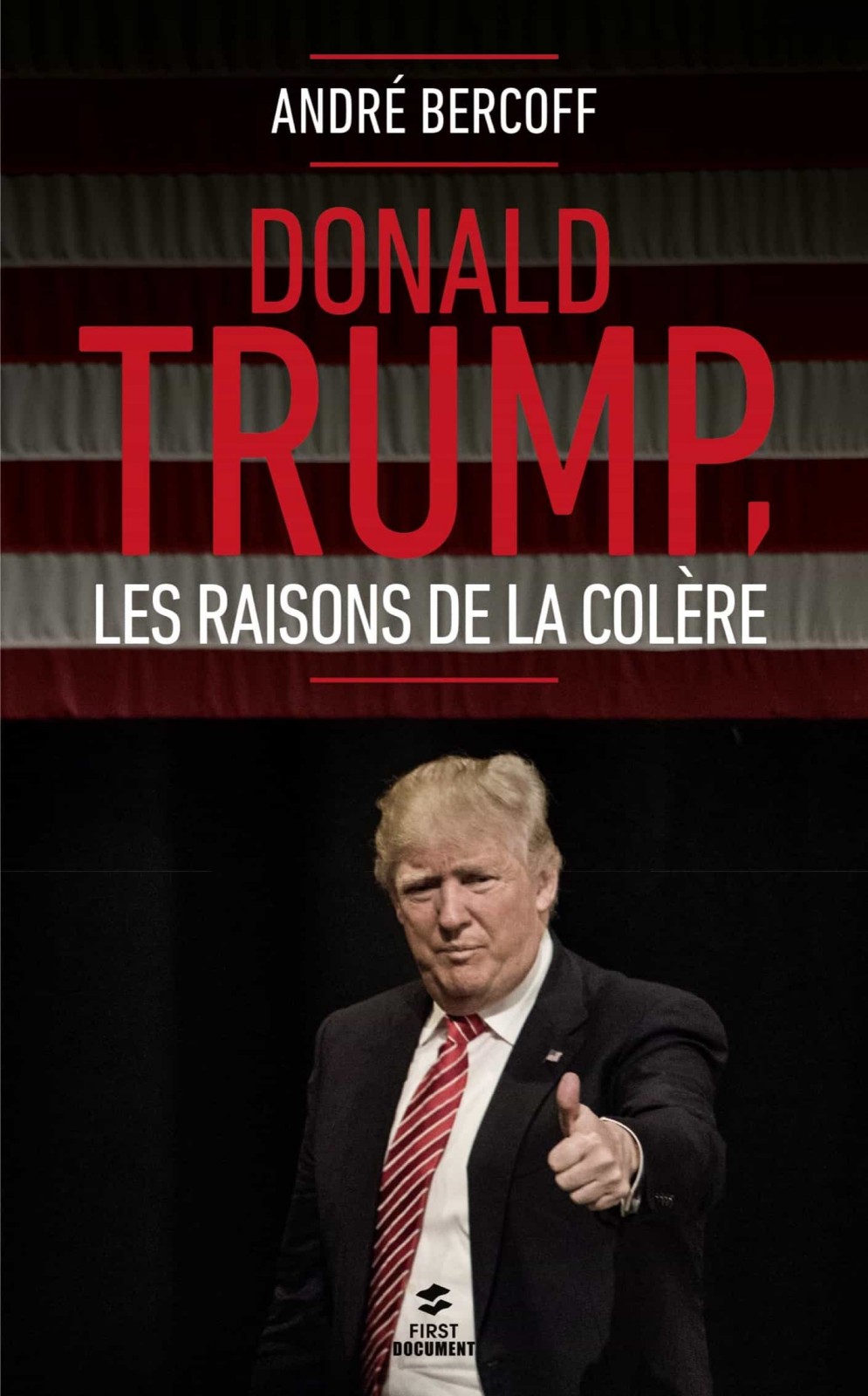 Donald Trump - les raisons de la colere