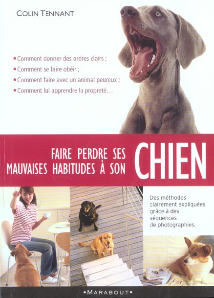 Faire perdre ses mauvaises habitudes à son chien : apprenez à vous faire obéir et à gagner la confiance de votre chien en comprenant son comportement