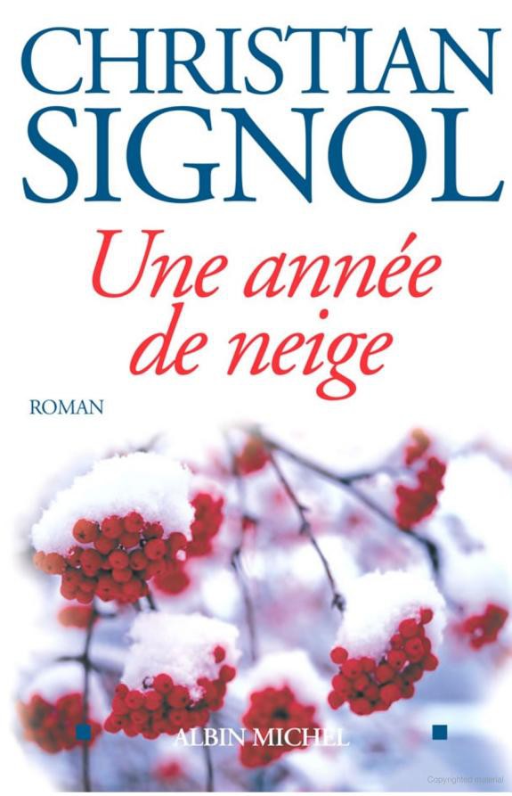 Une année de neige : Roman