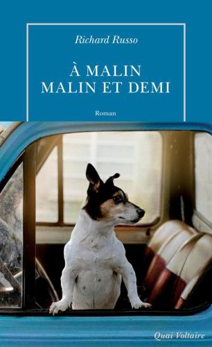 À malin, malin et demi : roman