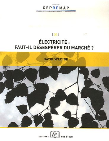 Electricité, faut-il désespérer du marché?