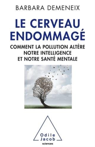 Le Cerveau Endommage