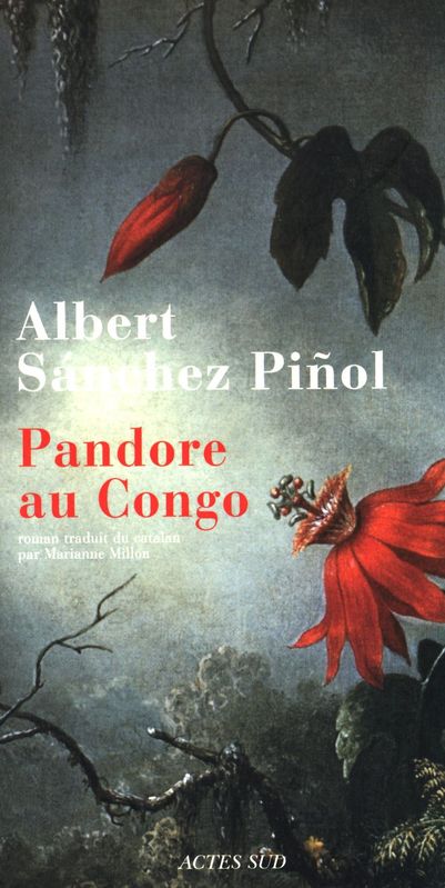 Pandore au Congo