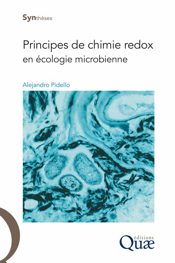 Principes de chimie redox en écologie microbienne