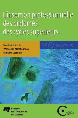 L'insertion professionnelle des diplômés des cycles supérieurs : réflexions