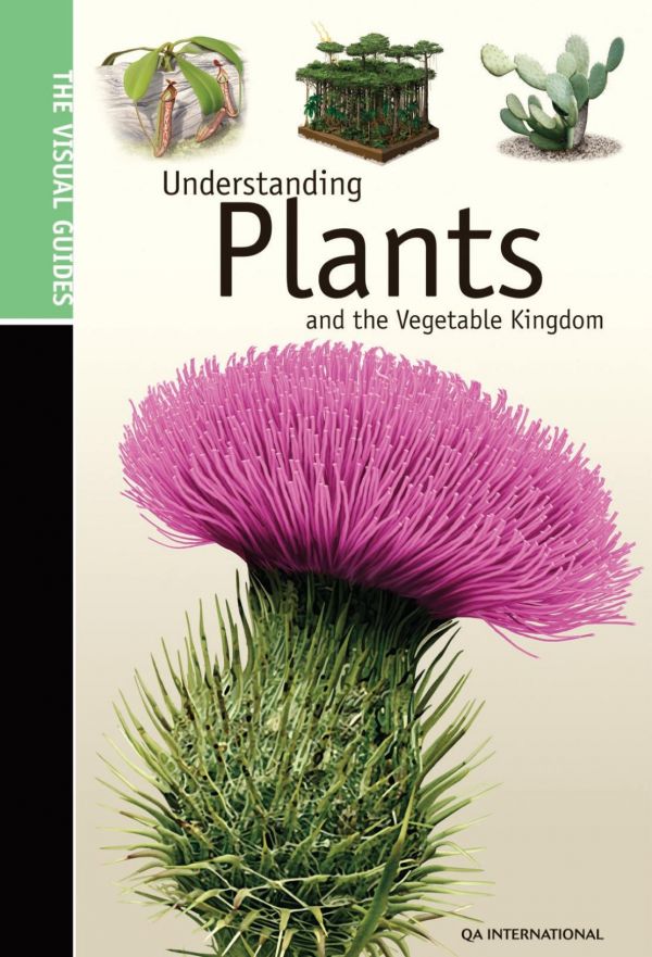 Understanding plants and the vegetable kingdom