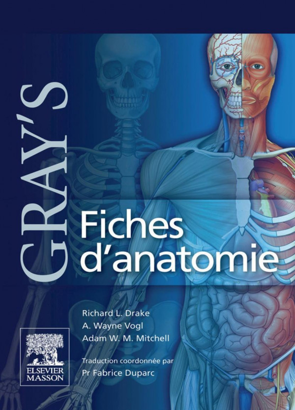 Gray's Fiches d'anatomie