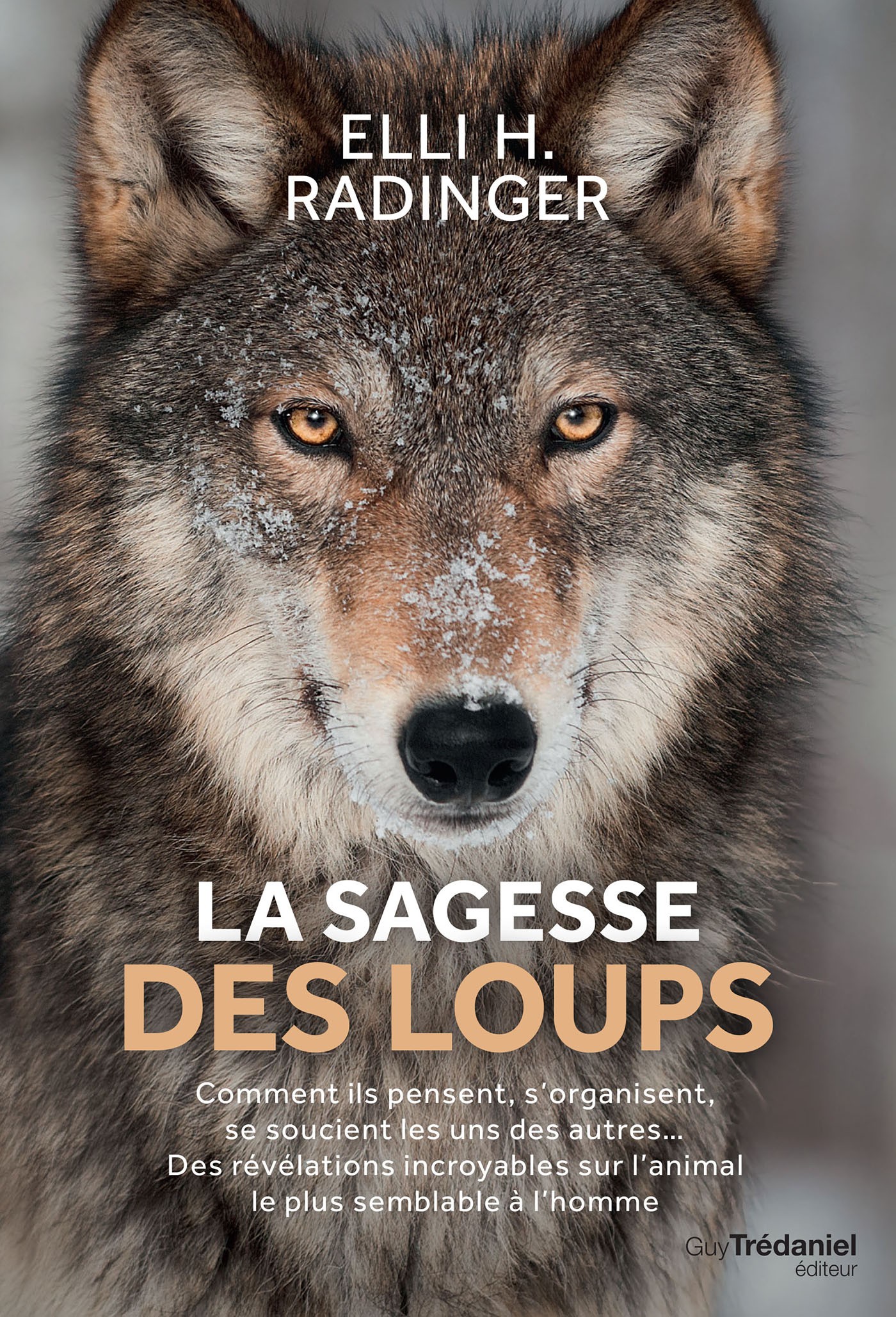 La sagesse des loups