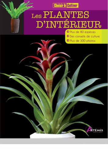 Plantes d'intérieur.