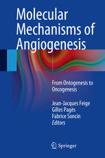 Molecular Mechanisms of Angiogenesis From Ontogenesis to Oncogenesis