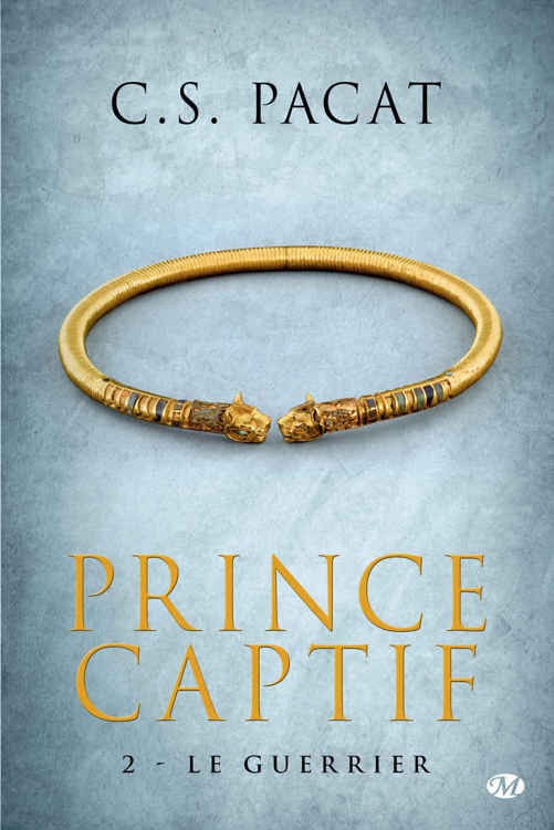 Le Guerrier: Prince Captif, T2