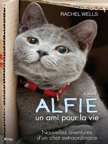 Alfie, Le Chat Du Bonheur