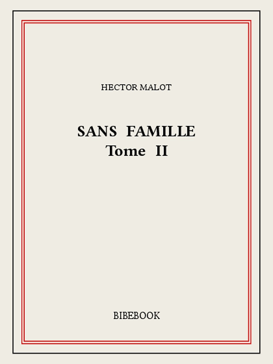 Sans famille II