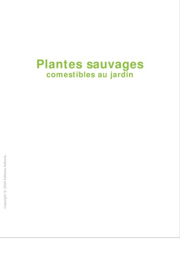 Plantes sauvages comestibles au jardin