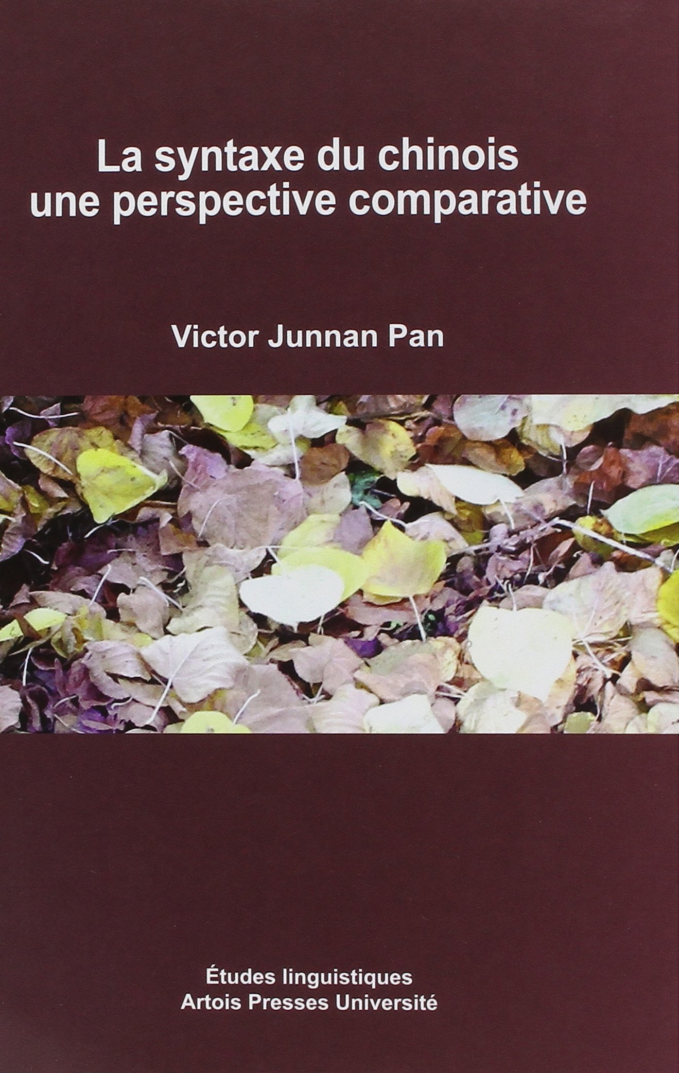 La syntaxe du chinois : une perspective comparative