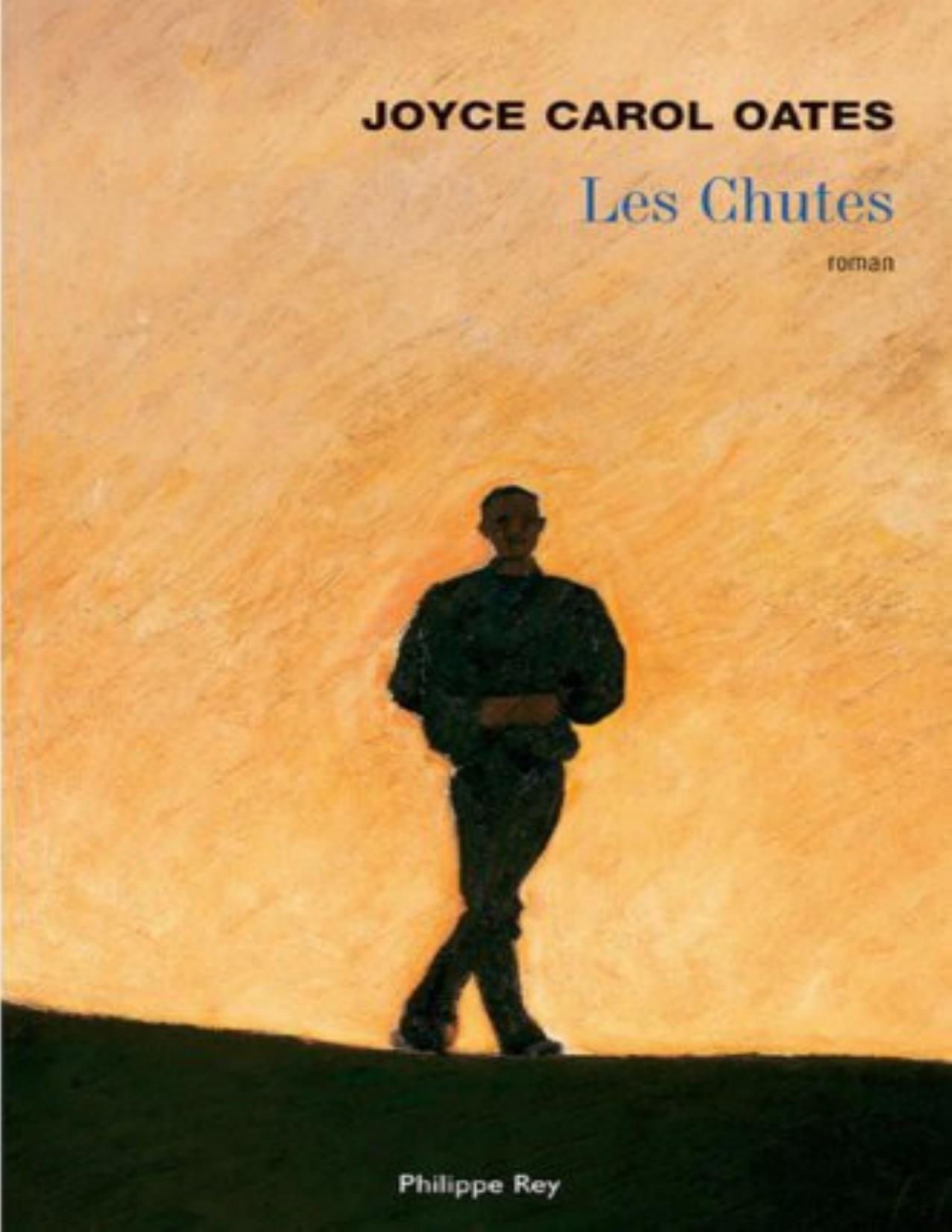 Les chutes : roman