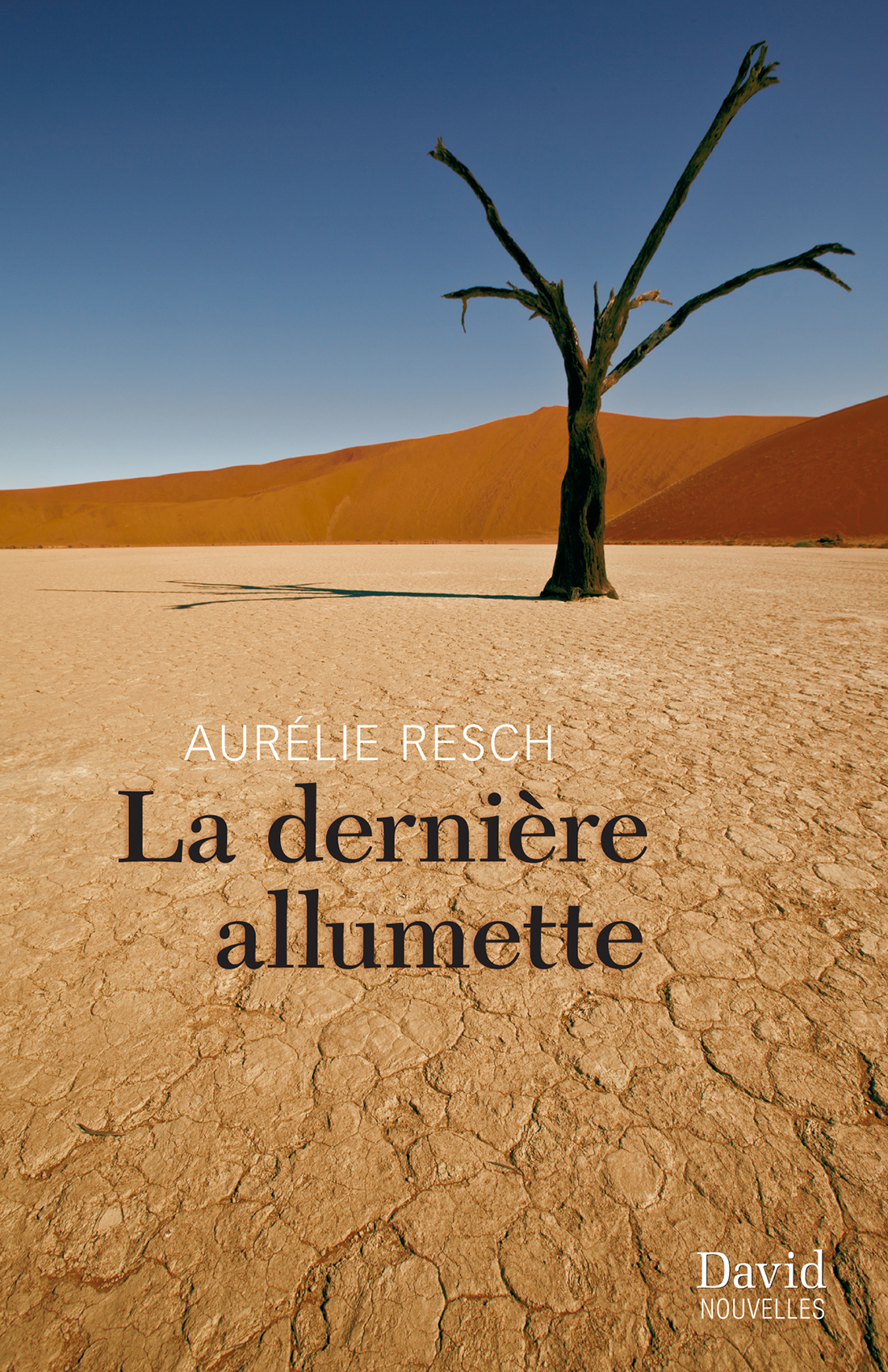 La dernière allumette : nouvelles