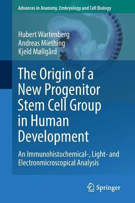 The Origin of a New Progenitor Stem Cell Group in Human Development