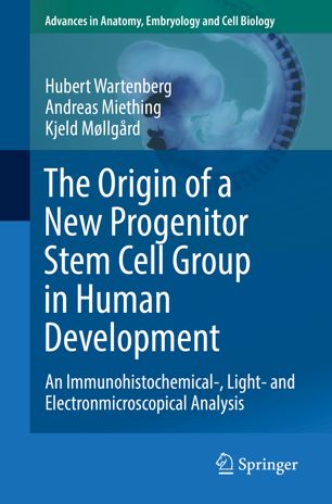 The origin of a new progenitor stem cell group in human development : an immunohistochemical-, light- and electronmicroscopical analysis