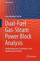 Dual-fuel gas-steam power block analysis : methodology and continuous-time mathematical models