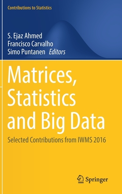 Matrices, Statistics and Big Data