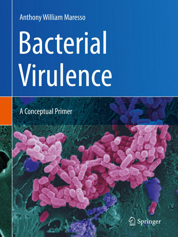 Bacterial Virulence : A Conceptual Primer