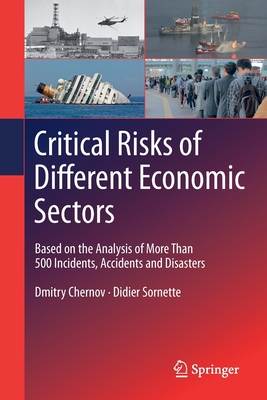 Critical Risks of Different Economic Sectors