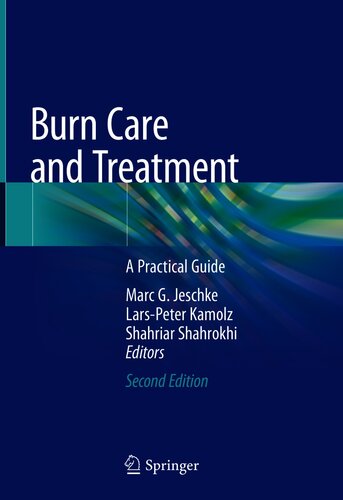 Burn care and treatment : a practical guide