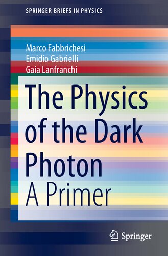 The physics of the dark photon : ‡b a primer