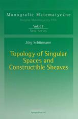 Topology of Singular Spaces and Constructible Sheaves